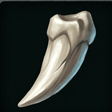 Wolf Fang